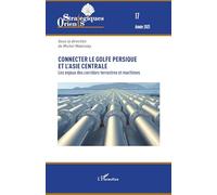 Connecter le golfe Persique et l’Asie centrale: Les enjeux des corridors terrestres et maritimes: 17 (Orients Strategiques)