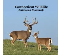 Connecticut Animals and Mammals Kids Wildlife Book: Great Wildlife Book about Animals and Mammals in Connecticut