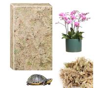 CONNECTION 190g Sphagnum Musgo Natural Seco Musgo para Plantas Sphagnum Moss Sustrato Orquideas Esfagno para Terrarios Orquideas Soporte Plantas Bonsai Reptiles Decoración