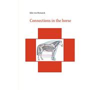 Connections in the horse