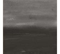 Connors, Loren / Grubbs, David - Evening Air [Vinyl LP] [Vinilo]