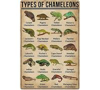 Conocimiento científico del camaleón, letreros de metal con conocimiento del volcán, decoración de pared para el aula, infografías científicas sobre volcanes, pósteres de hojalata, colección pa