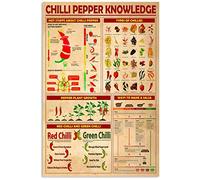 Conocimiento de chile, conocimiento de psicología, letreros de hojalata, infografías de psicología del color, carteles de lectura, guía de referencia para psicólogos, placas, oficina, clínica,