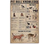 Conocimiento de Pitbull, Piedras de aluminio, Conocimiento, Letreros metálicos, Piedras del zodiaco, Pósteres infográficos, Guía de referencia de piedras, Decoración de pared para el hogar y l