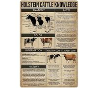 Conocimiento del ganado Holstein, conocimiento de la hidroelectricidad, letreros metálicos, infografías sobre hidroelectricidad, carteles de lectura, placas de guía para fontaneros, decoración de pare