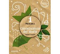 Conocimiento Del Medio 1º Educacion Primaria Cuadrícula Operación Mun