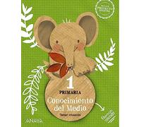 Conocimiento del Medio 1. Cuadrícula (Operación Mundo)