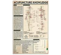Conocimientos de acupuntura vintage, infografías de acupuntura, guía de lectura para acupunturistas, póster de oficina clínica, letrero de hojalata de aluminio de 8 x 12 pulgadas, decoración de pared