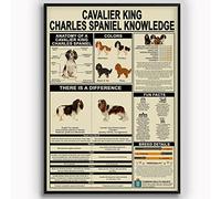 Conocimientos sobre Cavalier King Charles Spaniel, Anatomía del oído, Letreros metálicos de hojalata, Infografías sobre el oído, Pósteres de lectura, Placas de anatomía del oído, Decoración de pared p