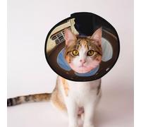 Conos personalizados para mascotas - Cono de diseño único para gatos y perros, collar para recuperación postoperatoria, cuello ajustable, arte de fantasía fuera de la ventana, M