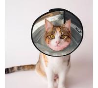 Conos personalizados para mascotas - Cono de diseño único para gatos y perros, collar para recuperación postoperatoria, cuello ajustable. El mamut dorado en la ciudad en ruinas L