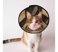 Conos personalizados para mascotas - Cono de diseño único para gatos y perros, collar para recuperación postoperatoria, cuello ajustable infinito pasillo cachorro L