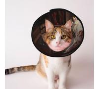 Conos personalizados para mascotas - Cono de diseño único para gatos y perros, collar para recuperación postoperatoria, cuello ajustable. La hoguera en la biblioteca destruida S