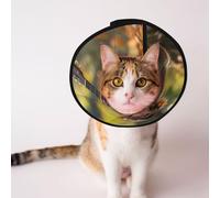 Conos personalizados para mascotas - Cono de diseño único para gatos y perros, collar para recuperación postoperatoria, cuello ajustable Koala toca la guitarra, S