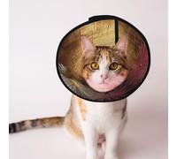 Conos personalizados para mascotas, diseño único, para gatos y perros, collar para recuperación postoperatoria, cuello ajustable, ciudades persas antiguas L