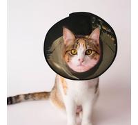 Conos personalizados para mascotas, diseño único, para gatos y perros, collar para recuperación postoperatoria, cuello ajustable, pirámide del mundo perdido S