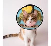 Conos personalizados para mascotas, diseño único para gatos y perros, collar para recuperación postoperatoria, cuello ajustable, cachorro de piña L