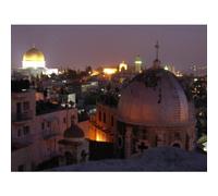 Conquerors - Conquerors: King David [USA] [DVD]