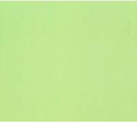 Conrad Schnitzler - Grun [Vinilo]