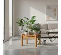 CONSDAN StoneCreek Taburete de madera creativo, roble cultivado en Estados Unidos, elegante superficie de asiento curvada, diseño rústico inspirado en cajas, taburete pequeño hecho a mano para niños