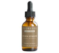Consejo Flor de Bach® - Flores de Bach Perro Estresado 30 ml +1 Oferta - Curación completa - Estrés, ansiedad, agitación - Perro calmado y sereno - "SIN ALCOOL" - Elixir floral tradicional - Lote de 2
