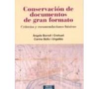 Conservacion De Documentos De Gran Formato: Criterios Y Recomenda Cion