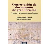 Conservación de documentos de gran formato: Criterios y recomendaciones básicas (Varia)