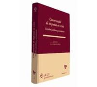 Conservación De Empresas En Crisis. Estudios Jurídicos Y Económicos