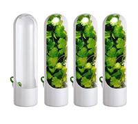 Conservador de hierbas frescas - 4 piezas de contenedor de cilantro | Recipiente multifuncional para guardar cilantro para romero y perejil | Recipiente de cilantro para nevera