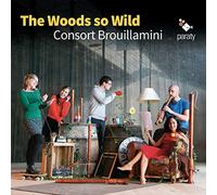 Consort Brouillamini - The Woods So Wild
