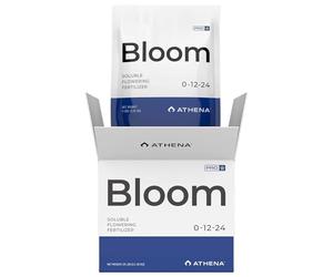 Consortium Project I - Terra Incognita