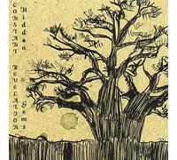 Constant Revelation - Hidden Gems