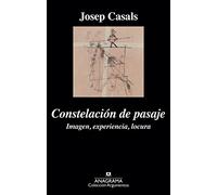 Constelación de pasaje: Imagen, Experiencia, Locura: 489 (Argumentos)