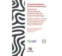 Constitucionalismo E Direitos Fundamentais (ebook)