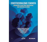 Constitucionalismo feminista: fundamentos de uma teoria constitucional com perspectiva de gênero (Volume 1)