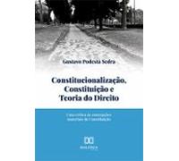 Constitucionalização Constituição E Teoria Do Direito (ebook)