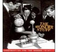 Construction for the Modern Idiot – Casete – Universal Music Group