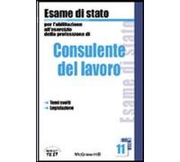 Consulente Del Lavoro. Esame Di Sta [Italia] [DVD]