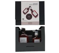 Consumer kit g set depot: 200 hair treatments no. 209, hair lotion tre