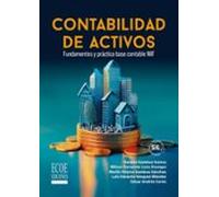 Contabilidad De Activos (ebook)