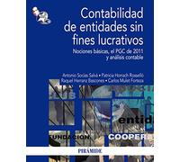 Contabilidad de entidades sin fines lucrativos: Nociones básicas, el PGC de 2011 y análisis contable (Economía y Empresa)