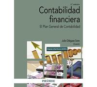 Contabilidad financiera: El Plan General de Contabilidad (Economía y Empresa)