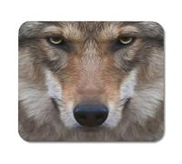 Contacto Visual con Lobo severo Expresión amenazadora y un Encanto Terrible de The Beautiful Animal y Peligroso Mouse Pad para notebooks, Computadoras de Escritorio