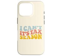 Contador CPA/Hoja de cálculo Contable Temporada de impuestos Carcasa para iPhone 16 Pro