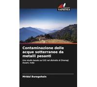 Contaminazione delle acque sotterranee da metalli pesanti: Uno studio basato sul GIS nel distretto di Dhemaji, Assam, India