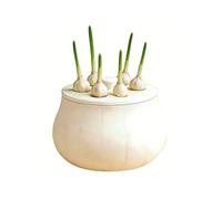 Contemporary Hydroponic Onion Grower, Portable Hydroponic Pots, 3D Printed Small Non-Slip Garlic Container Sprouting Jar Lids, Plant Flower Hyacinth Sprouting Pot, Compact Planter