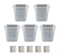 Contenedor cuadrado de transmisión de luz para orquídeas con estructura de ventilación hueca para promover la respiración de la raíz y el monitoreo del desarrollo (15 cm con bandeja)