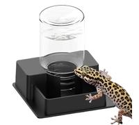 Contenedor de agua potable de dragón barbudo - Reptil Wijdmonds,Dispensador automático de agua de ,Para serpientes lagartos dragones barbudos Casa Interior Jardín Patrimonio