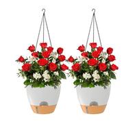 Contenedor de flora colgante: recipiente de riego automático, soportes botánicos de paquete doble, lavabo suspendido para vivero, macetero flotante para invernadero, con barandilla para terraza,