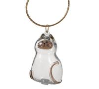 Contenedor de memoria para el pelo, para mascotas para viajes, PVC transparente con estilo portátil, soporte de recuerdo de condolencias, accesorio de entierro al aire libre, almacenamiento